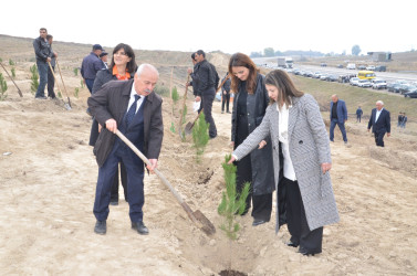 Qazaxda 8 Noyabr – Zəfər Gününün beşinci ildönümünə həsr olunmuş ağacəkmə aksiyası keçirilib 05.11.2025