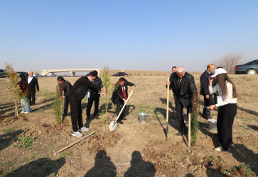 Qazaxda “Konstitusiya və Suverenlik İli” ilə əlaqədar ağacəkmə aksiyası keçirilib 11.03.2025