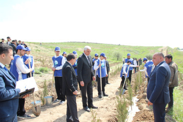 Qazaxda “Şəhərsalma və Memarlıq İli” ilə əlaqədar növbəti ağacəkmə aksiyası keçirilib 17.04.2026