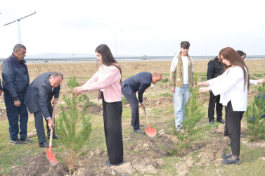 Qazaxda 8 Noyabr – Zəfər Gününün beşinci ildönümünə həsr olunmuş ağacəkmə aksiyası keçirilib 05.11.2025