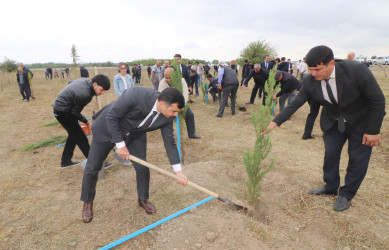 Qazaxda 27 Sentyabr - Anım Günü ilə əlaqədar Vətən müharibəsi şəhidlərinin xatirəsinə həsr olunmuş ağacəkmə aksiyası keçirilib 18.09.2025
