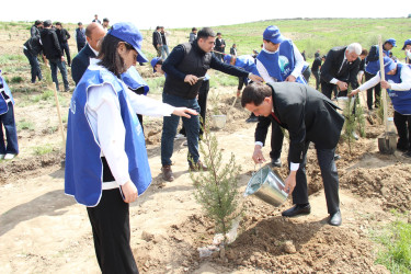 Qazaxda “Şəhərsalma və Memarlıq İli” ilə əlaqədar növbəti ağacəkmə aksiyası keçirilib 17.04.2026