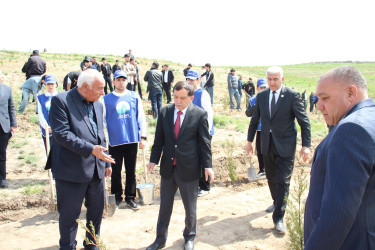 Qazaxda “Şəhərsalma və Memarlıq İli” ilə əlaqədar növbəti ağacəkmə aksiyası keçirilib 17.04.2026