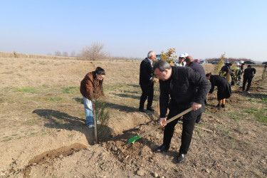 Qazaxda “Konstitusiya və Suverenlik İli” ilə əlaqədar ağacəkmə aksiyası keçirilib 11.03.2025